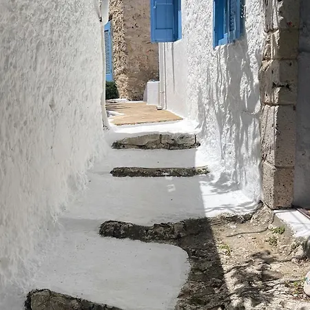 Xyloporta * Skinária