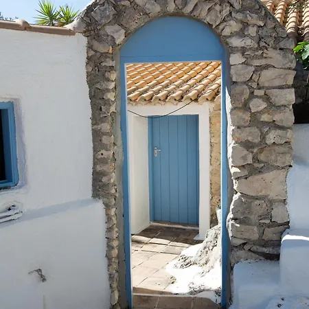 Xyloporta